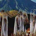 Bedah film Pasar Setan misteri pendakian Gunung Lawu